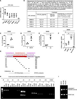 Chemotherapy induces feedback up-regulation of CD44v6 in colorectal cancer initiating cells through β-catenin/MDR1 signaling to sustain chemoresistance